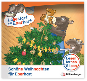 Lesestart mit Eberhart: Schöne Weihnachten für Eberhart von Brandau,  Nicole, Drecktrah,  Stefanie, Schulte,  Achim