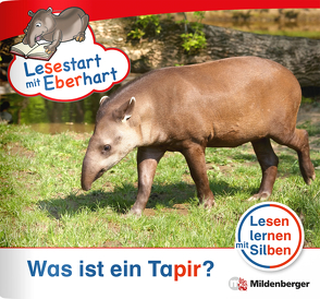 Lesestart mit Eberhart – Was ist ein Tapir? von Drecktrah,  Stefanie