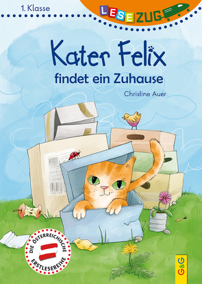 LESEZUG/1. Klasse: Kater Felix findet ein Zuhause von Auer,  Christine, Nowothnig,  Kristina