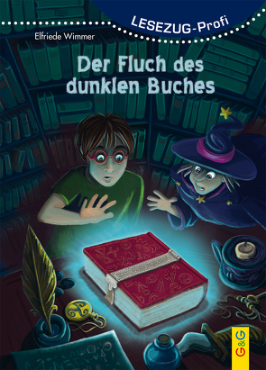 LESEZUG/Profi: Der Fluch des dunklen Buches von Herberger,  Petra, Wimmer,  Elfriede