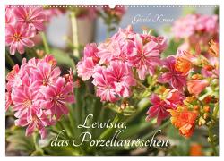 Lewisia, das Porzellanröschen (Wandkalender 2024 DIN A2 quer), CALVENDO Monatskalender von Kruse,  Gisela