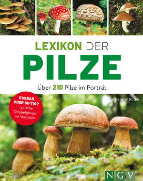 Lexikon der Pilze – Über 210 Pilze im Porträt von Hecker,  Frank, Kothe,  Hans W.