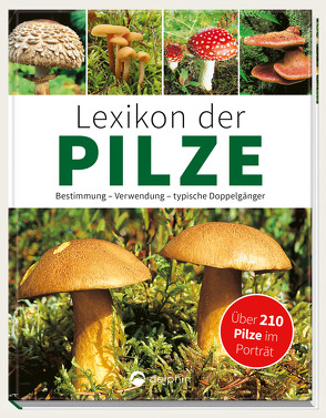 Lexikon der Pilze – Bestimmung, Verwendung, typische Doppelgänger von Kothe,  Hans W.