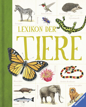 Lexikon der Tiere – Ein Umfangreiches zoologisches Nachschlagewerk für Schule und Freizeit von Kuballa-Cottone,  Stefanie, Voigt,  Julia