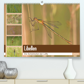 Libellen – Die Schönheiten der Lüfte (Premium, hochwertiger DIN A2 Wandkalender 2020, Kunstdruck in Hochglanz) von Potratz,  Andrea