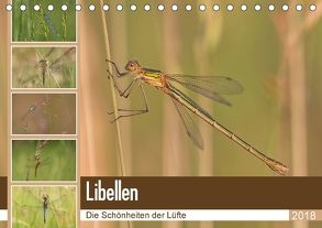 Libellen – Die Schönheiten der Lüfte (Tischkalender 2018 DIN A5 quer) von Potratz,  Andrea