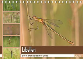Libellen – Die Schönheiten der Lüfte (Tischkalender 2019 DIN A5 quer) von Potratz,  Andrea