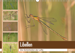 Libellen – Die Schönheiten der Lüfte (Wandkalender 2021 DIN A3 quer) von Potratz,  Andrea