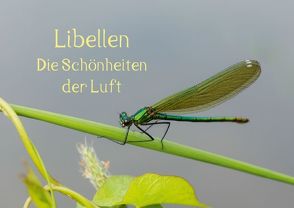 Libellen – Die Schönheiten der Lüfte (Posterbuch DIN A2 quer) von Potratz,  Andrea