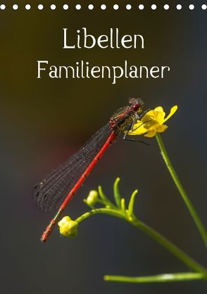Libellen / Familienplaner (Tischkalender 2018 DIN A5 hoch) von Potratz,  Andrea