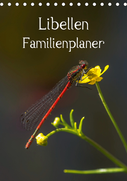 Libellen / Familienplaner (Tischkalender 2021 DIN A5 hoch) von Potratz,  Andrea