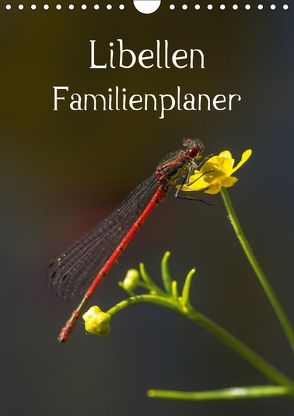 Libellen / Familienplaner (Wandkalender 2018 DIN A4 hoch) von Potratz,  Andrea