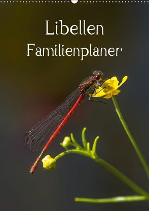 Libellen / Familienplaner (Wandkalender 2019 DIN A2 hoch) von Potratz,  Andrea