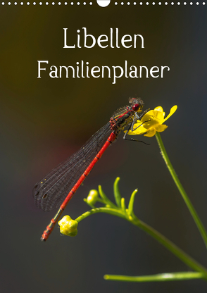 Libellen / Familienplaner (Wandkalender 2020 DIN A3 hoch) von Potratz,  Andrea