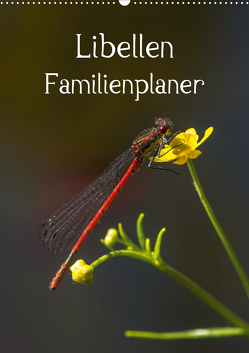 Libellen / Familienplaner (Wandkalender 2021 DIN A2 hoch) von Potratz,  Andrea