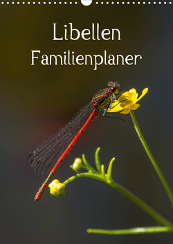 Libellen / Familienplaner (Wandkalender 2021 DIN A3 hoch) von Potratz,  Andrea