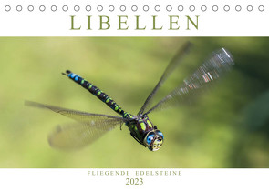 Libellen – Fliegende Edelsteine (Tischkalender 2023 DIN A5 quer) von Lippmann,  Andreas
