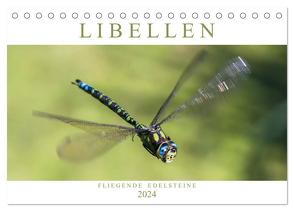 Libellen – Fliegende Edelsteine (Tischkalender 2024 DIN A5 quer), CALVENDO Monatskalender von Lippmann,  Andreas