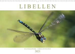 Libellen – Fliegende Edelsteine (Wandkalender 2023 DIN A3 quer) von Lippmann,  Andreas
