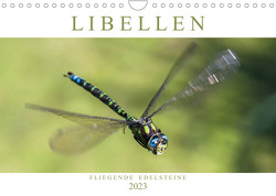 Libellen – Fliegende Edelsteine (Wandkalender 2023 DIN A4 quer) von Lippmann,  Andreas