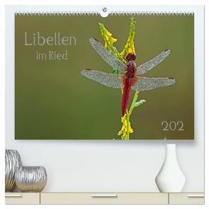Libellen im Ried (hochwertiger Premium Wandkalender 2024 DIN A2 quer), Kunstdruck in Hochglanz von Oldani,  Dorothea
