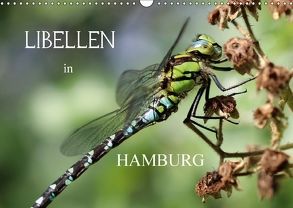 Libellen in HamburgCH-Version (Wandkalender 2018 DIN A3 quer) von Brix - Studio Brix,  Matthias
