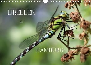 Libellen in HamburgCH-Version (Wandkalender 2018 DIN A4 quer) von Brix - Studio Brix,  Matthias