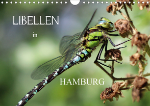 Libellen in HamburgCH-Version (Wandkalender 2021 DIN A4 quer) von Brix - Studio Brix,  Matthias