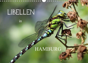 Libellen in HamburgCH-Version (Wandkalender 2022 DIN A3 quer) von Brix - Studio Brix,  Matthias