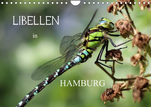 Libellen in HamburgCH-Version (Wandkalender 2022 DIN A4 quer) von Brix - Studio Brix,  Matthias