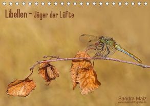 Libellen – Jäger der Lüfte (Tischkalender 2019 DIN A5 quer) von Malz,  Sandra