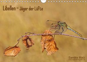 Libellen – Jäger der Lüfte (Wandkalender 2018 DIN A4 quer) von Malz,  Sandra