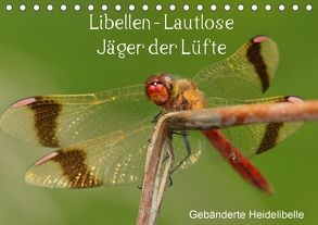 Libellen – Lautlose Jäger der Lüfte (Tischkalender 2018 DIN A5 quer) von Erlwein,  Winfried