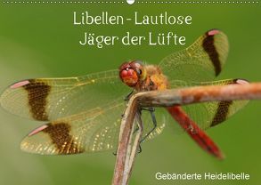 Libellen – Lautlose Jäger der Lüfte (Wandkalender 2018 DIN A2 quer) von Erlwein,  Winfried