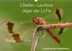 Libellen – Lautlose Jäger der Lüfte (Wandkalender 2018 DIN A3 quer) von Erlwein,  Winfried