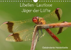 Libellen – Lautlose Jäger der Lüfte (Wandkalender 2018 DIN A4 quer) von Erlwein,  Winfried