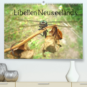 Libellen Neuseelands (Premium, hochwertiger DIN A2 Wandkalender 2022, Kunstdruck in Hochglanz) von Gendera,  Stefanie