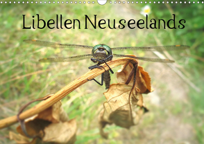 Libellen Neuseelands (Wandkalender 2021 DIN A3 quer) von Gendera,  Stefanie