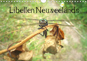 Libellen Neuseelands (Wandkalender 2021 DIN A4 quer) von Gendera,  Stefanie