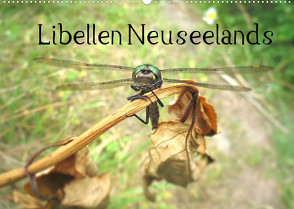 Libellen Neuseelands (Wandkalender 2022 DIN A2 quer) von Gendera,  Stefanie