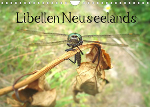 Libellen Neuseelands (Wandkalender 2023 DIN A4 quer) von Gendera,  Stefanie