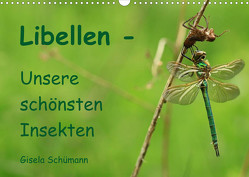 Libellen – Unsere schönsten Insekten (Wandkalender 2023 DIN A3 quer) von Schuemann,  Gisela