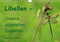 Libellen – Unsere schönsten Insekten (Wandkalender 2023 DIN A4 quer) von Schuemann,  Gisela