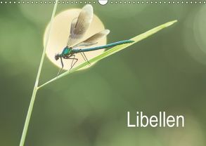 Libellen (Wandkalender 2018 DIN A3 quer) von Kulla,  Alexander