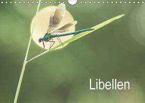 Libellen (Wandkalender 2018 DIN A4 quer) von Kulla,  Alexander