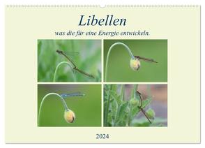 Libellen, was die für eine Energie entwickeln. (Wandkalender 2024 DIN A2 quer), CALVENDO Monatskalender von Rufotos,  Rufotos