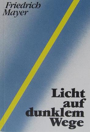 Licht auf dunklem Weg von Mayer,  Friedrich