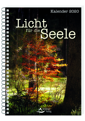 Licht für die Seele Kalender 2020 von Schirner,  Markus