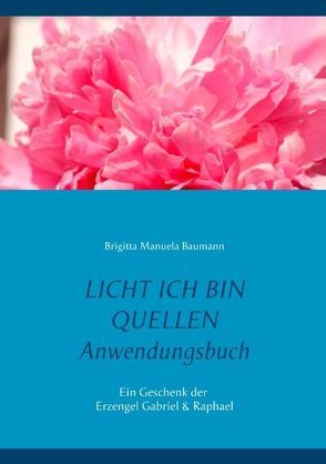 Licht ich bin Quellen – Das Anwendungsbuch von Baumann,  Brigitta Manuela