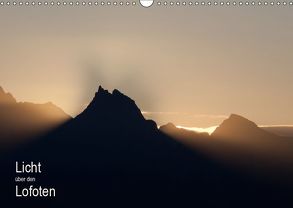 Licht über den Lofoten (Wandkalender 2019 DIN A3 quer) von Ammich,  Klaus